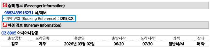 국내선 숫자 PNR 미표출 ITR
